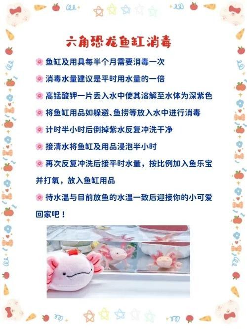 六角龍魚缸消毒可以用哪些溫和化學藥劑（六角龍魚缸消毒殺菌用什么藥好）
