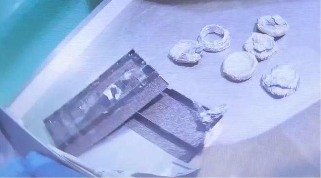 如何認定紅龍魚走私的涉案金額 如何認定紅龍魚走私的涉案金額 龍魚百科 第4張