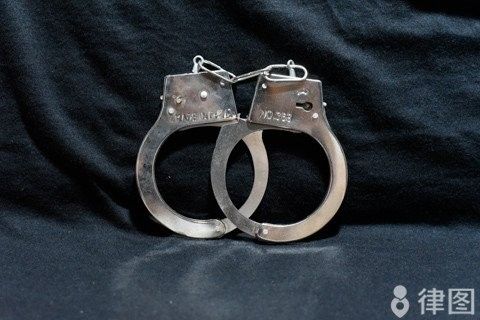 如何認定紅龍魚走私的涉案金額 如何認定紅龍魚走私的涉案金額 龍魚百科 第5張