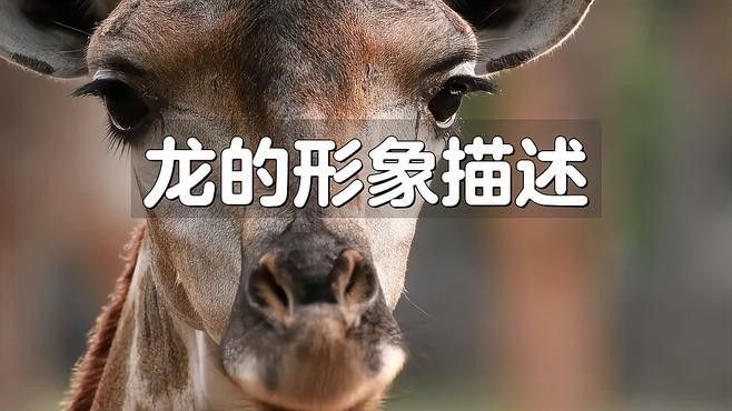 龍神形象在藝術(shù)中如何表現(xiàn) 龍神形象在藝術(shù)中如何表現(xiàn) 龍魚百科 第1張