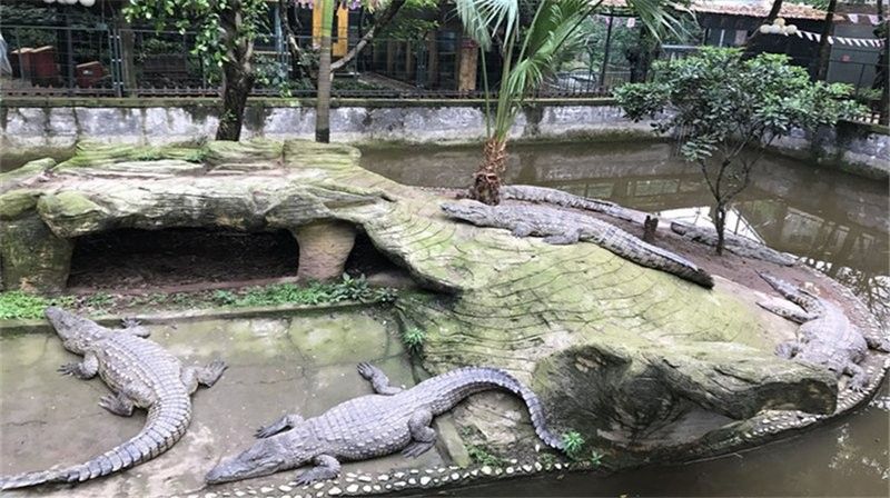 鱷龍谷觀賞魚館的營業時間是？（昆山鱷魚谷游玩攻略）