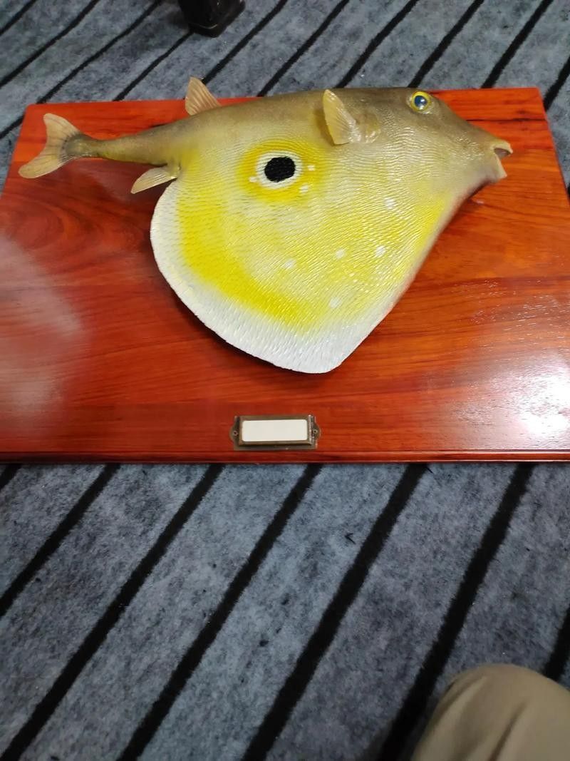 龍魚標(biāo)本的價(jià)格是多少