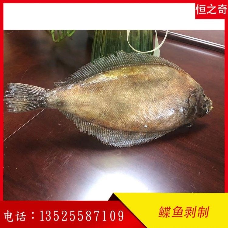 龍魚標(biāo)本的價(jià)格是多少