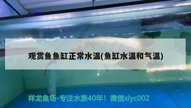 鸚鵡魚(yú)和銀龍魚(yú)混養(yǎng)怎樣喂食 觀賞魚(yú)魚(yú)缸正常水溫(魚(yú)缸水溫和氣溫) 觀賞魚(yú)百科 觀賞魚(yú)魚(yú)缸正常水溫(魚(yú)缸水溫和氣溫) 觀賞魚(yú)魚(yú)缸正常水溫(魚(yú)缸水溫和氣溫) 觀賞魚(yú)百科