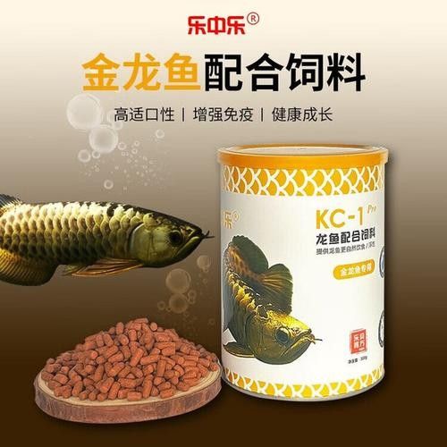 樂中樂龍魚飼料適合哪些龍魚品種(樂中樂龍魚飼料哪個(gè)品牌好樂中樂龍魚飼料哪個(gè)品牌好) 龍魚百科 第2張 樂中樂龍魚飼料適合哪些龍魚品種(樂中樂龍魚飼料哪個(gè)品牌好樂中樂龍魚飼料哪個(gè)品牌好) 樂中樂龍魚飼料適合哪些龍魚品種(樂中樂龍魚飼料哪個(gè)品牌好樂中樂龍魚飼料哪個(gè)品牌好) 龍魚百科 第2張