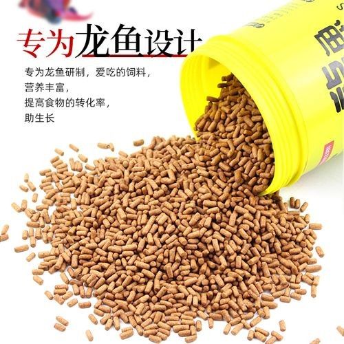 樂中樂龍魚飼料適合哪些龍魚品種(樂中樂龍魚飼料哪個(gè)品牌好樂中樂龍魚飼料哪個(gè)品牌好) 龍魚百科 第6張 樂中樂龍魚飼料適合哪些龍魚品種(樂中樂龍魚飼料哪個(gè)品牌好樂中樂龍魚飼料哪個(gè)品牌好) 樂中樂龍魚飼料適合哪些龍魚品種(樂中樂龍魚飼料哪個(gè)品牌好樂中樂龍魚飼料哪個(gè)品牌好) 龍魚百科 第6張