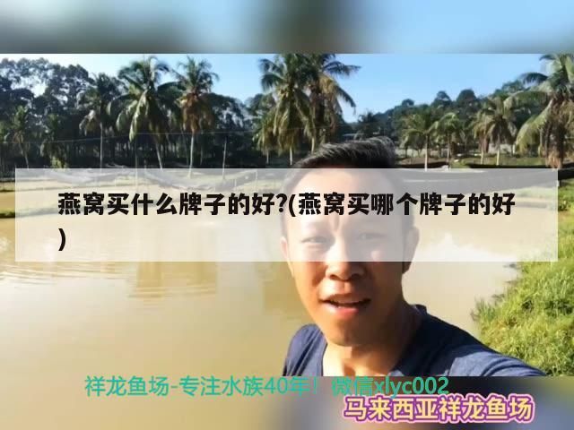 魚缸用增氧泵價格是多少:魚缸增氧機-xtrac增氧機-xtrac增氧機 燕窩買什么牌子的好?(燕窩買哪個牌子的好) 觀賞魚百科 燕窩買什么牌子的好?(燕窩買哪個牌子的好) 燕窩買什么牌子的好?(燕窩買哪個牌子的好) 觀賞魚百科