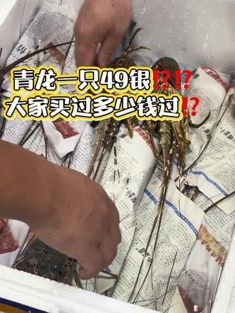 汕頭龍魚批發市場有哪些知名的商家（汕頭龍魚批發市場） 汕頭龍魚批發市場有哪些知名的商家（汕頭龍魚批發市場） 龍魚百科 第1張