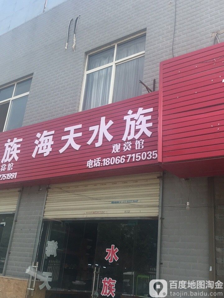 未央哪個水族館龍魚好？祥龍魚場龍魚（未央區哪個水族館龍魚好） 未央哪個水族館龍魚好？祥龍魚場龍魚（未央區哪個水族館龍魚好） 龍魚百科 第2張