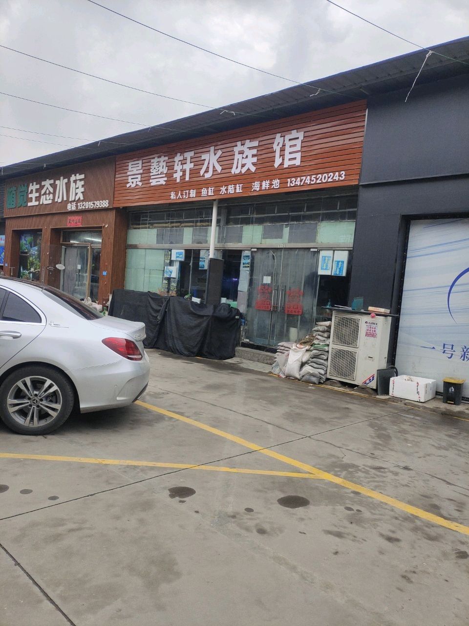 未央哪個水族館龍魚好？祥龍魚場龍魚（未央區哪個水族館龍魚好） 未央哪個水族館龍魚好？祥龍魚場龍魚（未央區哪個水族館龍魚好） 龍魚百科 第3張