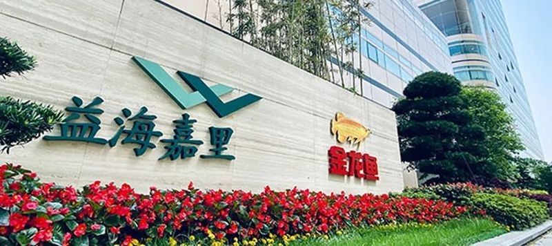 金龍魚2025年上半年業(yè)績?nèi)绾? title=