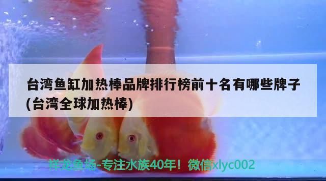 臺(tái)灣魚(yú)缸加熱棒品牌排行榜前十名有哪些牌子(臺(tái)灣全球加熱棒)（臺(tái)灣魚(yú)缸加熱棒什么牌子好臺(tái)灣魚(yú)缸加熱棒品牌排行榜前十名有哪些） 臺(tái)灣魚(yú)缸加熱棒品牌排行榜前十名有哪些牌子(臺(tái)灣全球加熱棒)（臺(tái)灣魚(yú)缸加熱棒什么牌子好臺(tái)灣魚(yú)缸加熱棒品牌排行榜前十名有哪些） 觀賞魚(yú)百科