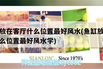 魚(yú)缸放在客廳什么位置最好風(fēng)水(魚(yú)缸放在客廳什么位置最好風(fēng)水學(xué))（魚(yú)缸一般放在客廳什么位置）