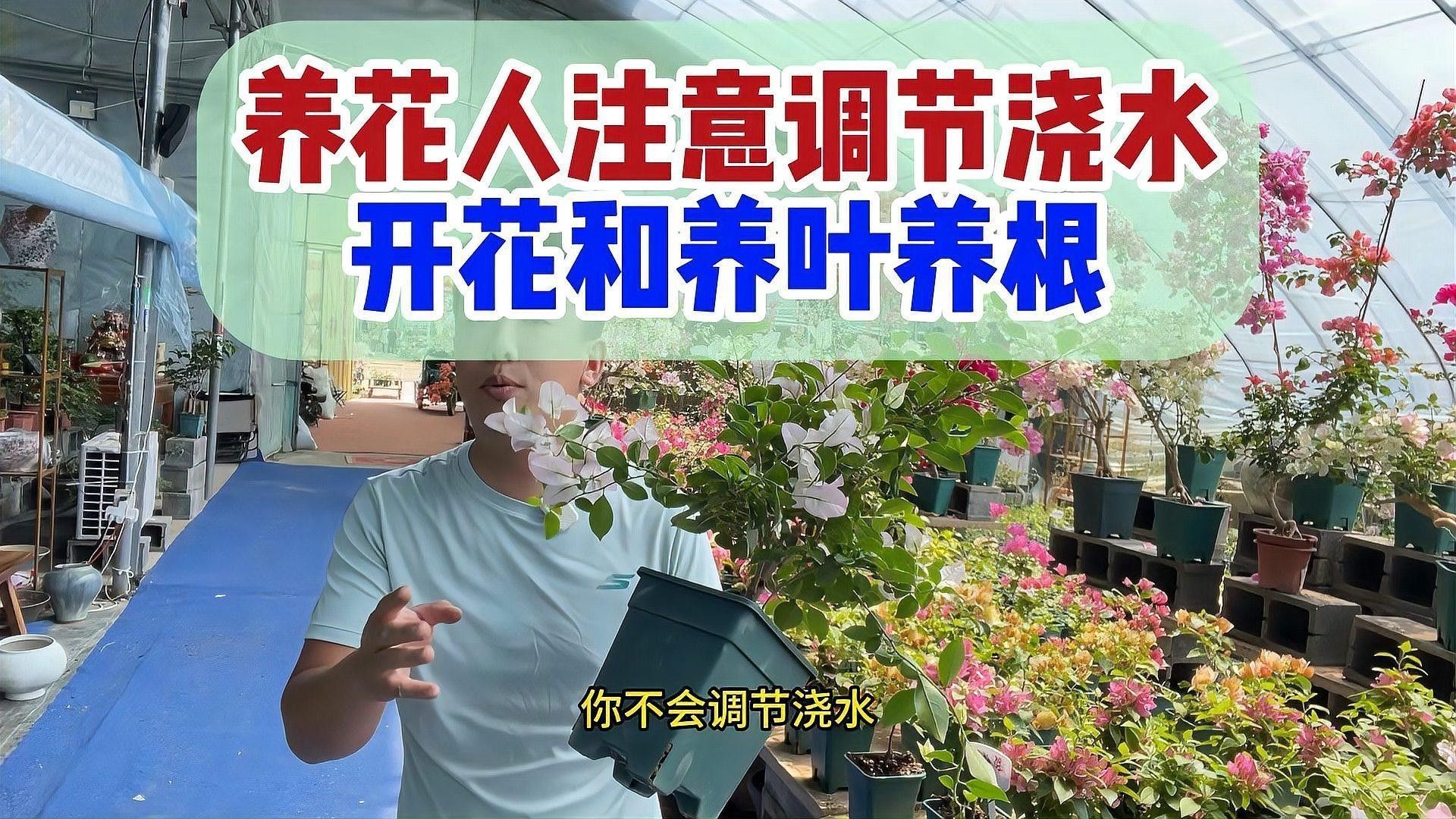 怎樣給植物正確澆水？（植物澆水方式對其生長和健康至關重要）