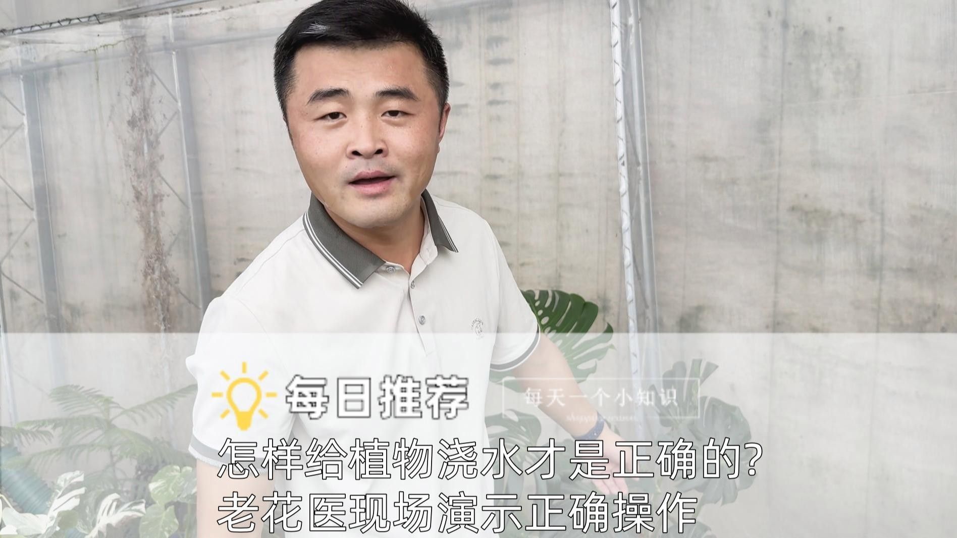 怎樣給植物正確澆水？（植物澆水方式對其生長和健康至關重要）
