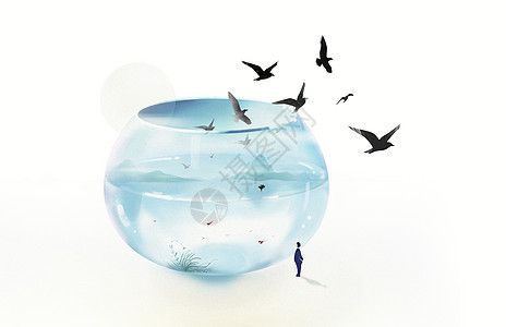 龍魚撞缸后怎么處理好(龍魚撞缸會不會撞死)（龍魚撞缸后怎么辦）