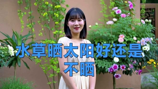 繁殖缸中水草如何種植（水草種子正確的種植方法）