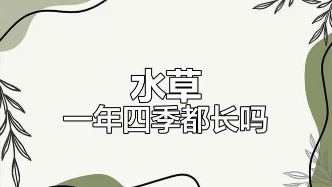 繁殖缸中水草如何種植（水草種子正確的種植方法）
