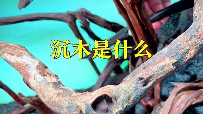 沉木和假山哪個更耐用？（臺州人工假山-假山噴泉制作廠家興超景觀制作廠家）