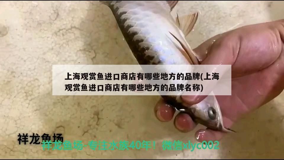 飼料 上海觀賞魚進口商店有哪些地方的品牌(上海觀賞魚進口商店有哪些地方的品牌名稱) 觀賞魚百科 上海觀賞魚進口商店有哪些地方的品牌(上海觀賞魚進口商店有哪些地方的品牌名稱) 上海觀賞魚進口商店有哪些地方的品牌(上海觀賞魚進口商店有哪些地方的品牌名稱) 觀賞魚百科