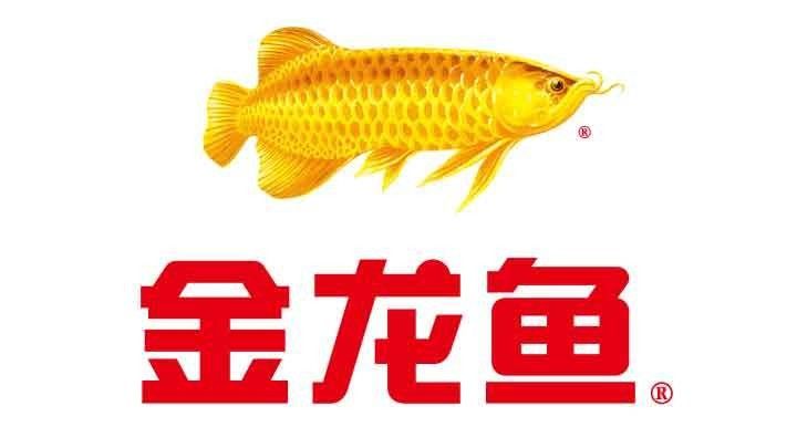 金龍魚在央視的廣告效果如何（金龍魚——品牌強國工程） 金龍魚在央視的廣告效果如何（金龍魚——品牌強國工程） 龍魚百科 第13張