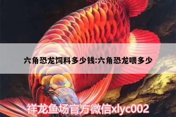 六角恐龍飼料多少錢(qián):六角恐龍喂多少（六角恐龍的價(jià)格） 六角恐龍飼料多少錢(qián):六角恐龍喂多少（六角恐龍的價(jià)格） 觀賞魚(yú)百科