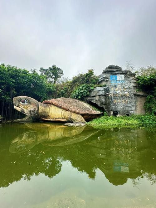 湖光巖神龜和龍魚雕像的歷史背景（中國最美火山口湖光巖神龜和龍魚雕像建造時間是什么時候）