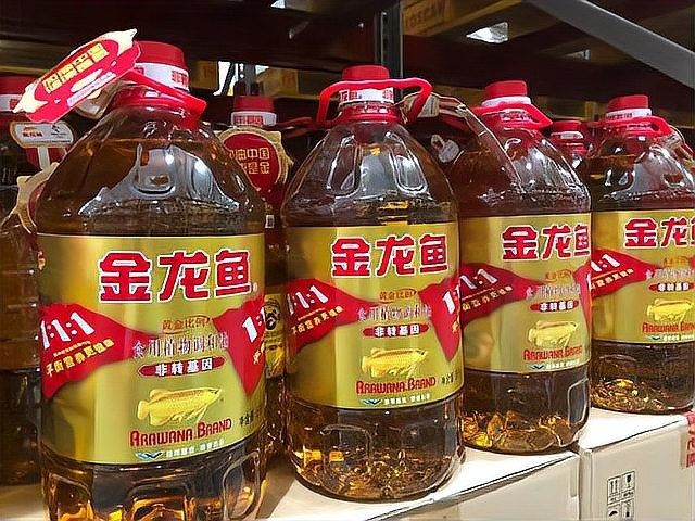 金龍魚未來是否考慮海外上市？（金龍魚是否考慮海外上市）