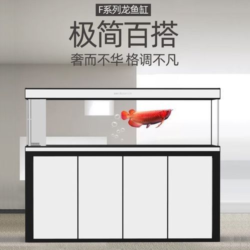 哪個顏色的博特龍魚缸最受歡迎？（什么顏色的博特魚缸最受歡迎）