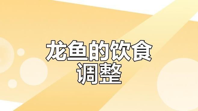 龍魚吃魚糧需要泡水嗎（龍魚吃魚糧是否需要泡水的問題） 龍魚吃魚糧需要泡水嗎（龍魚吃魚糧是否需要泡水的問題） 龍魚百科 第1張