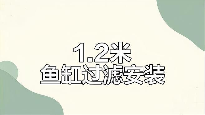 博宇龍魚缸過濾系統如何安裝？（博宇龍魚缸過濾器的安裝步驟）