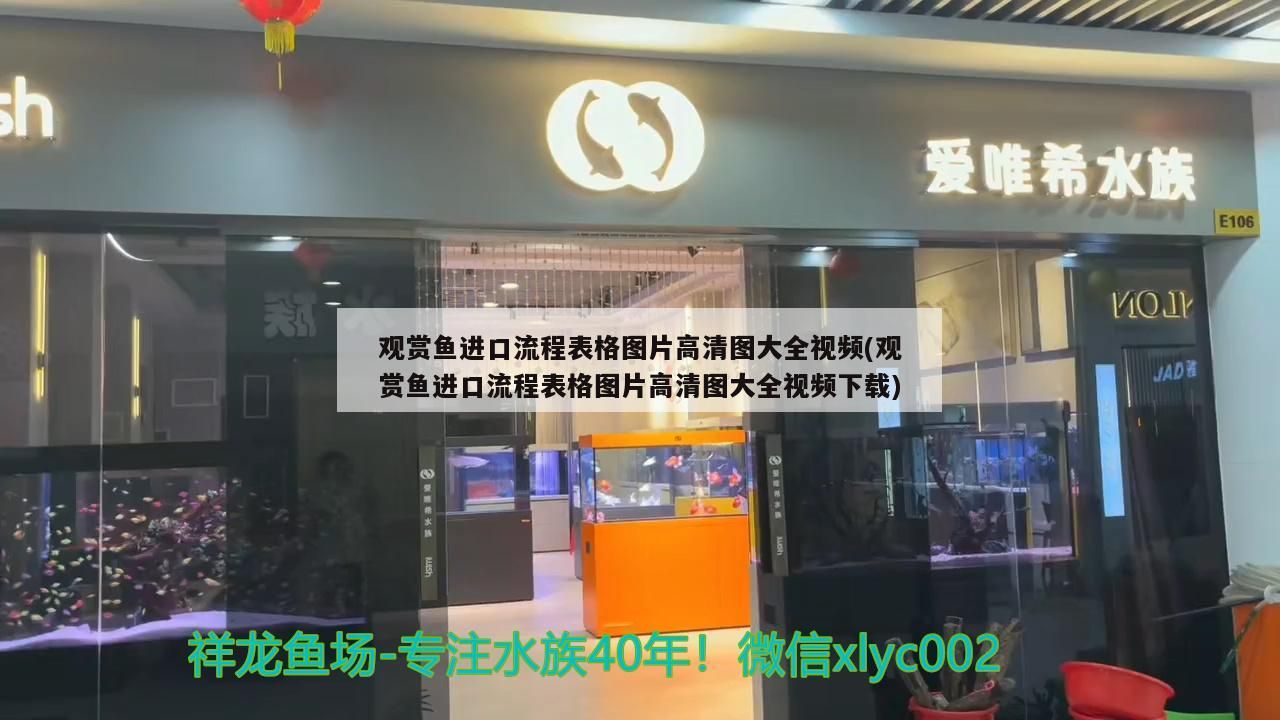 觀賞魚進口流程表格圖片高清圖大全視頻(觀賞魚進口流程表格圖片高清圖大全視頻下載)（觀賞魚進口流程圖片高清圖大全視頻）