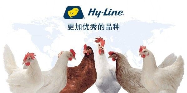金龍魚養殖基地的規模有多大（“油茅”金龍魚盯上蛋雞賽道！）