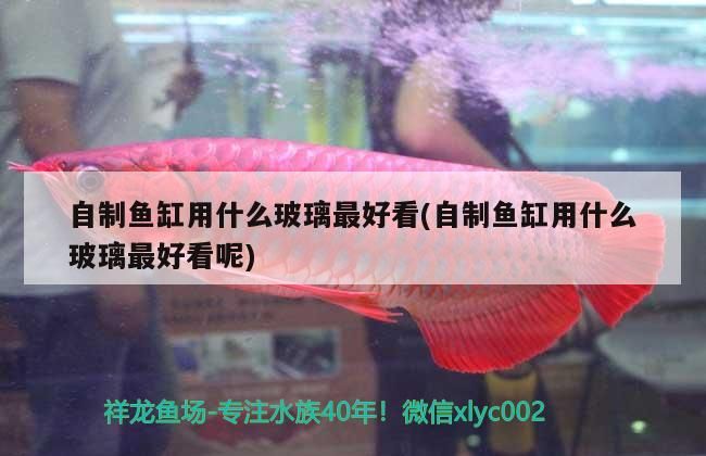 自制魚缸用什么玻璃最好看(自制魚缸用什么玻璃最好看呢)（自制魚缸用什么玻璃好看）