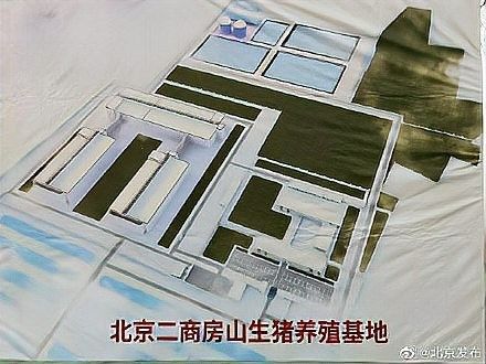 該基地的養(yǎng)殖規(guī)模有多大（(二)微信公眾平臺養(yǎng)殖基地首批優(yōu)質(zhì)仔豬成功出欄）