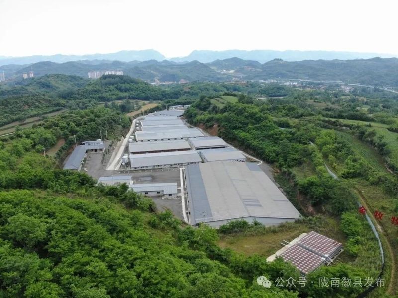 該基地的養(yǎng)殖規(guī)模有多大（(二)微信公眾平臺養(yǎng)殖基地首批優(yōu)質(zhì)仔豬成功出欄）