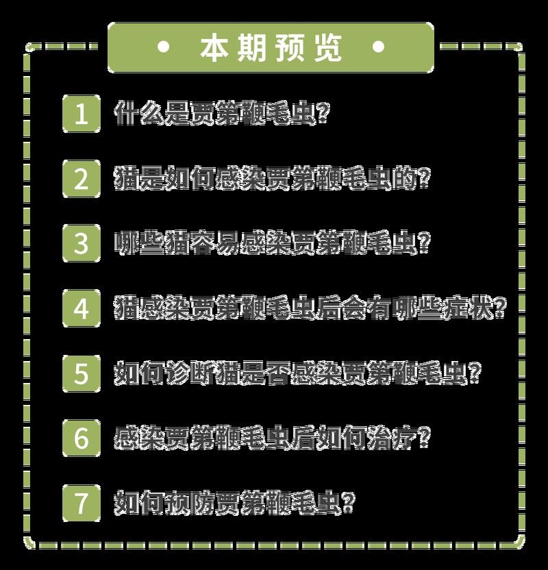 如何判斷龍貓是否感染了賈第鞭毛蟲（貓感染賈第鞭毛蟲的診斷方法）