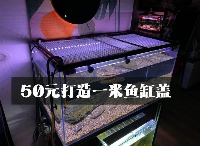 雷龍魚缸蓋應該如何選擇？（雷龍魚缸蓋的選擇是確保水質清潔和防止藻類生長的關鍵）