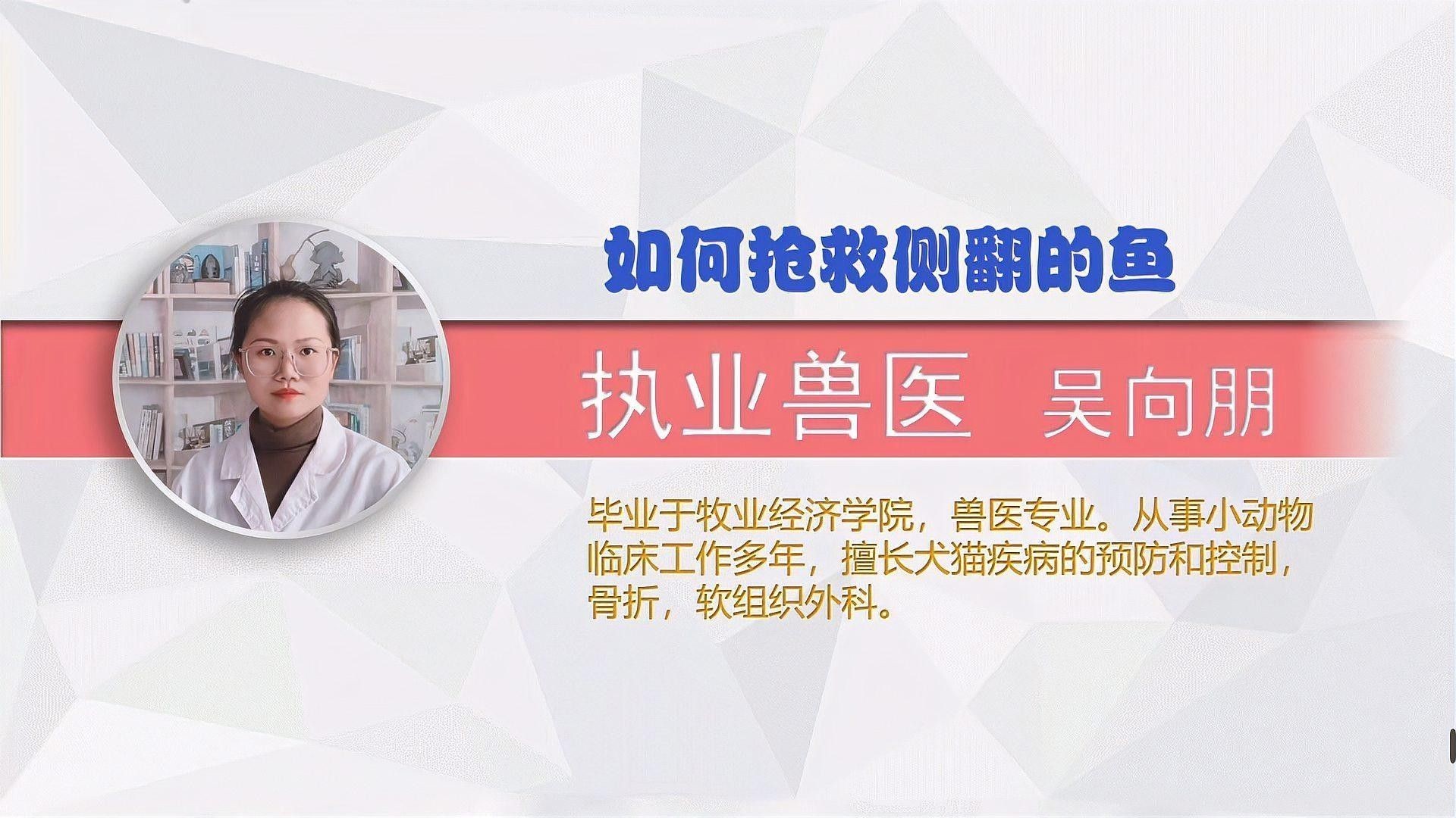 龍魚斜著游如何治療（如何判斷龍魚斜著游是否嚴重？） 龍魚斜著游如何治療（如何判斷龍魚斜著游是否嚴重？） 龍魚百科 第1張
