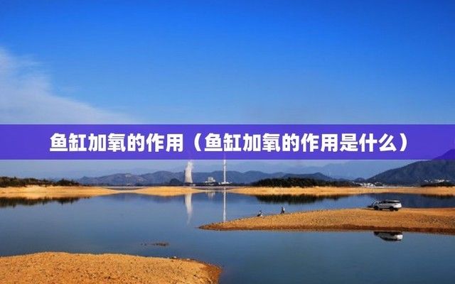 龍魚愛跳缸嗎（龍魚愛跳缸嗎為什么）（龍魚愛跳缸嗎）