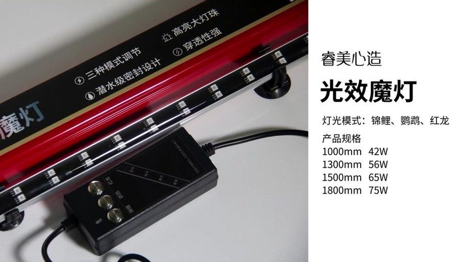紅龍燈光系統有哪些品牌推薦（紅龍燈光系統主要品牌推薦及特點分析）
