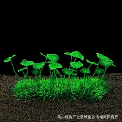龍魚專用燈哪個牌子好點呢知乎（龍魚專用燈哪個牌子好點呢知乎）（龍魚專用燈哪個牌子好）