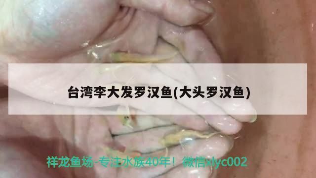 紅龍魚品牌有哪些產(chǎn)品好賣點圖片（紅龍魚排行榜）（紅龍魚品牌有哪些產(chǎn)品好賣點圖片）