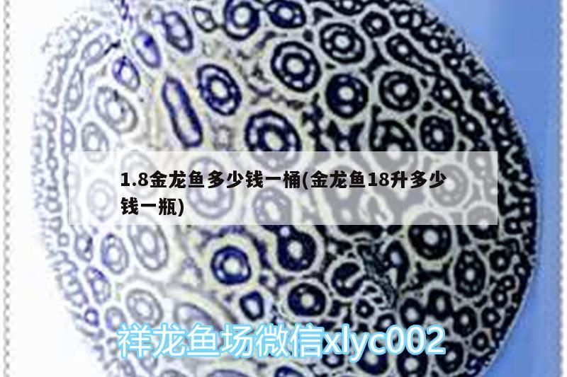 六盤水觀賞魚批發市場地址電話號碼（六盤水水產批發市場在哪里）（上海六盤水觀賞魚批發市場，興義市興創海鮮魚批發市場）