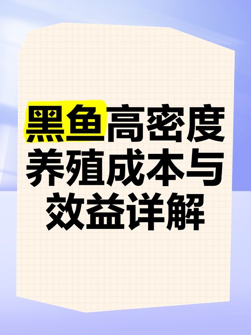 黑魚和龍魚哪個更適合新手 黑魚和龍魚哪個更適合新手 龍魚百科 第10張