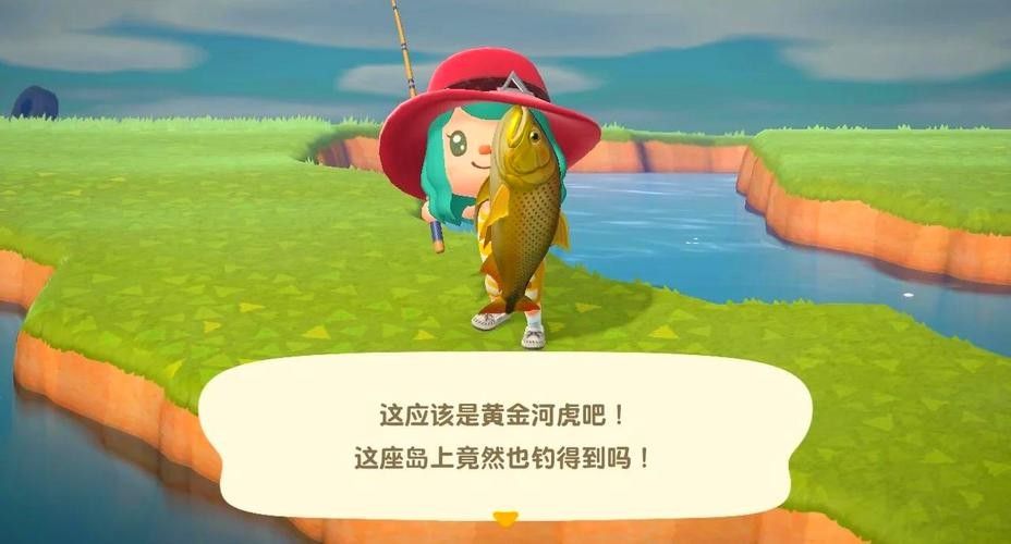 黃金河虎和龍魚哪個(gè)更適合新手（黃金河虎和龍魚哪個(gè)更貴？）