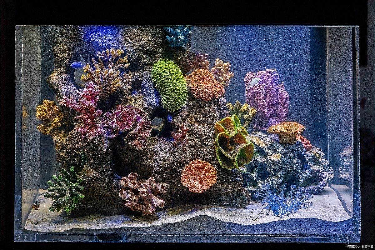 龍魚換水時需要加鹽嗎（魚缸換水加鹽總出錯學會這4步）