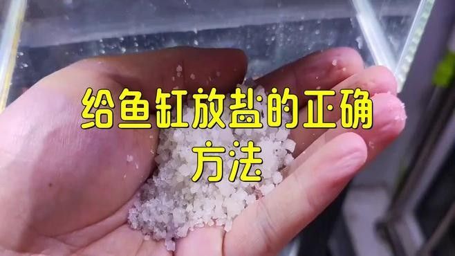 龍魚換水時需要加鹽嗎（魚缸換水加鹽總出錯學會這4步）