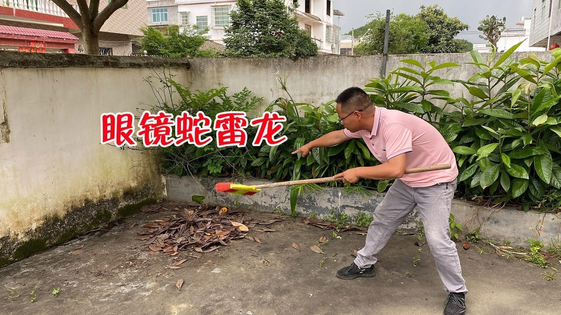 如何區分雷龍魚和烏魚（雷龍魚與烏魚的區別）