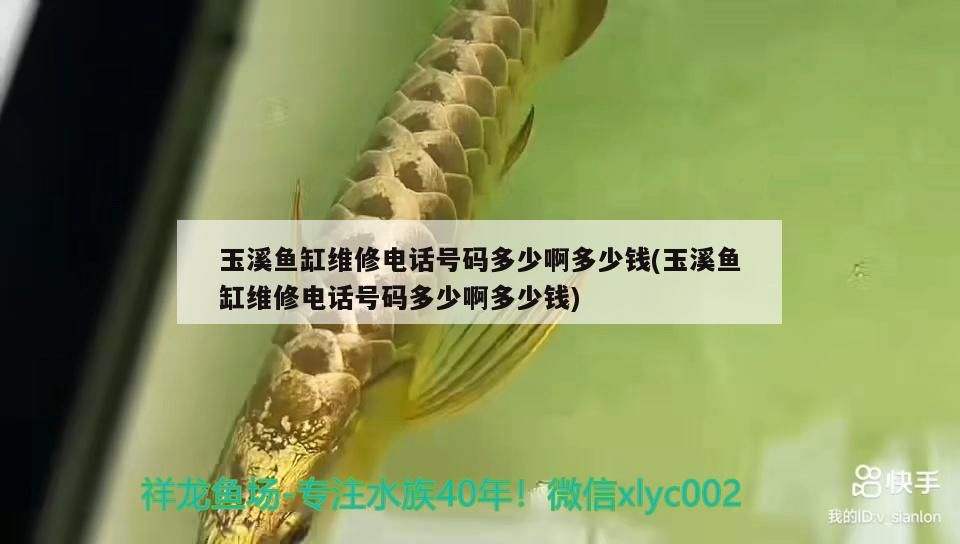 <strong><mark>玉溪</mark></strong>魚缸維修電話號碼多少啊多少錢(<strong><mark>玉溪</mark></strong>魚缸維修電話號碼多少啊多少錢)（<strong><mark>玉溪</mark></strong>魚缸維修電話號碼多少啊多少錢）